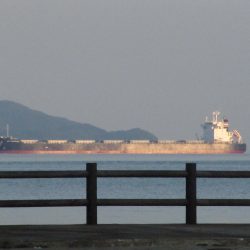 アジをもとめて